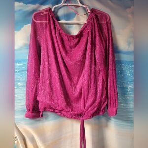 CeCe NWT Pink Metallic Long Sleeve Blouse Sheer Sleeve Womens Size‎ Large